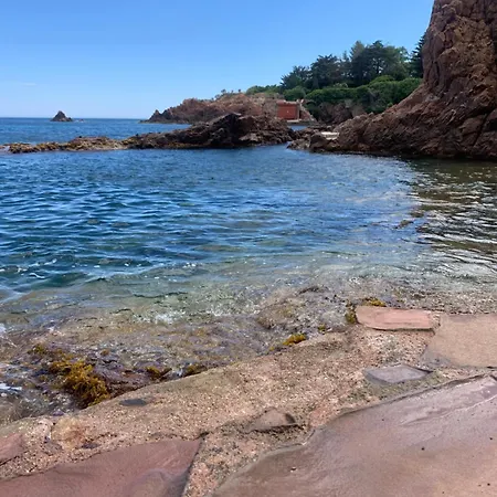 Petit Coin De Paradis Sur La * Saint-Raphaël