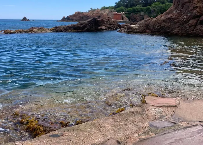 Petit Coin De Paradis Sur La * Saint-Raphaël